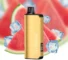 Alibarbar Ingot 9000 Disposable Vape – Watermelon Ice